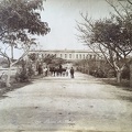 signed: 175. Palais du Khedive. - Road to the residential palace of Isma'il Pasha in Ismailia. Named after the ruling Egyptian khedive (viceroy) Ismail Pasha, the elaborate Ismailia Palace was built to house international dignitaries invited to the gala o