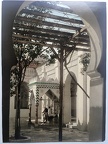 6247 P.Z. - Alger. La fontaine dans la Mosquee el Kebir
